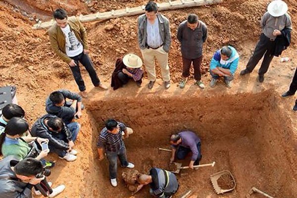 爱妻艺小马拉大车