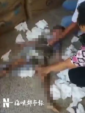 完美世界3d同人