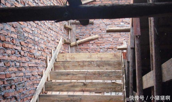 野花社区WWW中文高清版 更成了一个社交空间