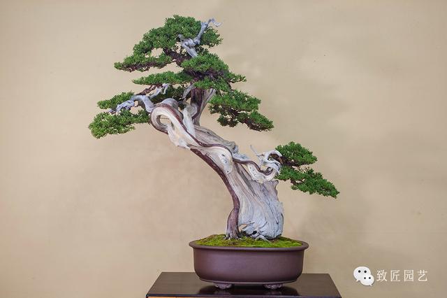 幼夢莉　福建省　911