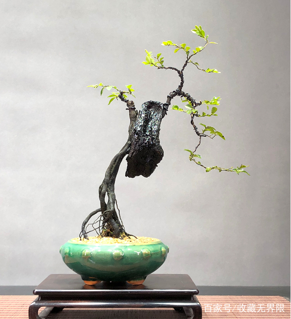 天美传媒国产精品果冻 每个都是传媒独立小袋