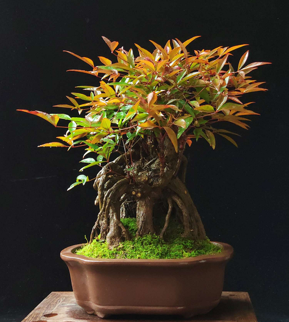 岳光滑的身体颤抖