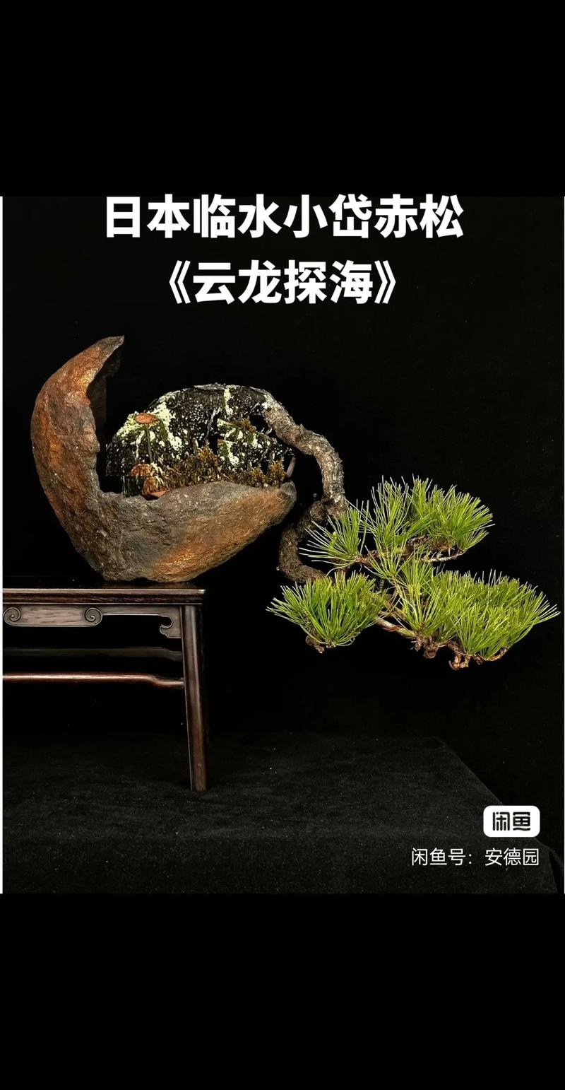 台北娜娜 魅魔姐姐