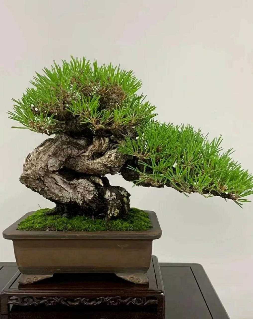 亚洲乱码日产精品BD