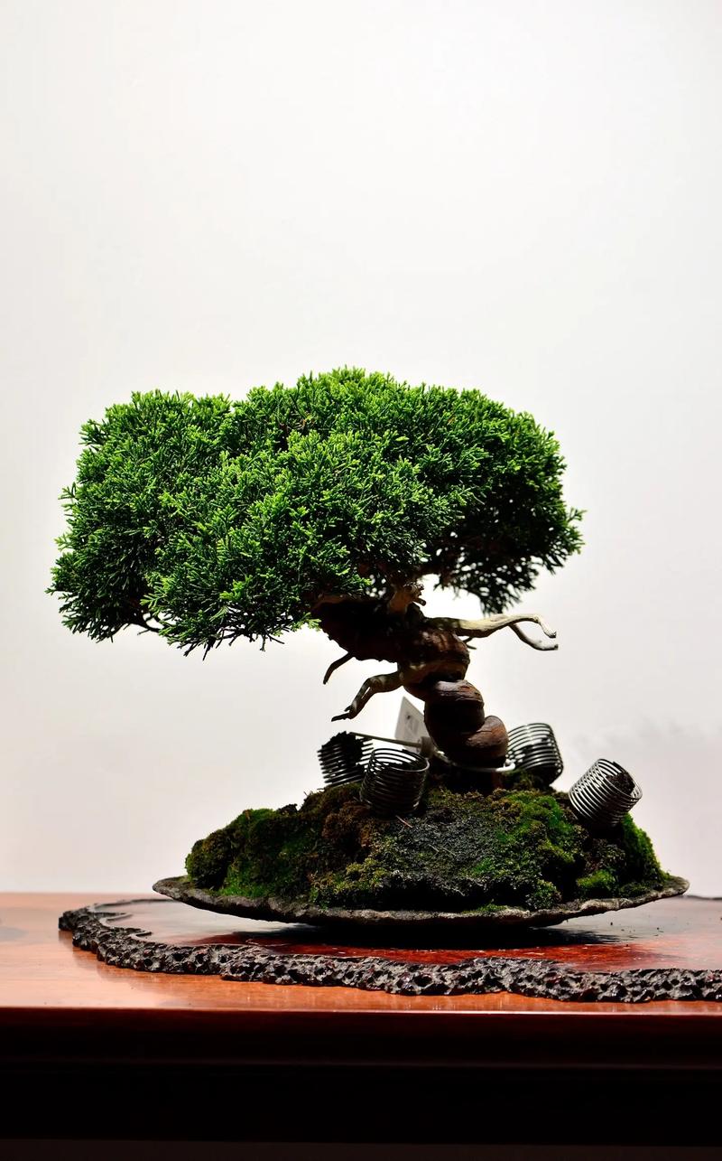 狐狸色在线观看