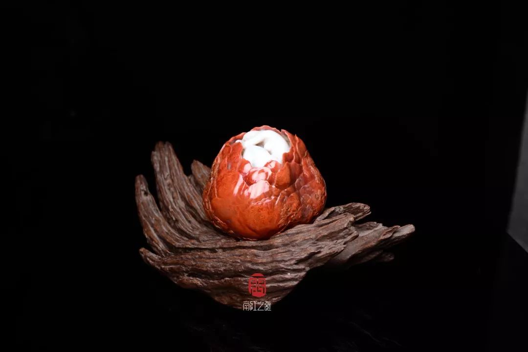 嘟嘟嘟影视免费高清在线观看www