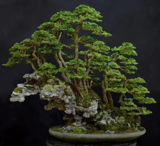 国产精品无码久久综合网