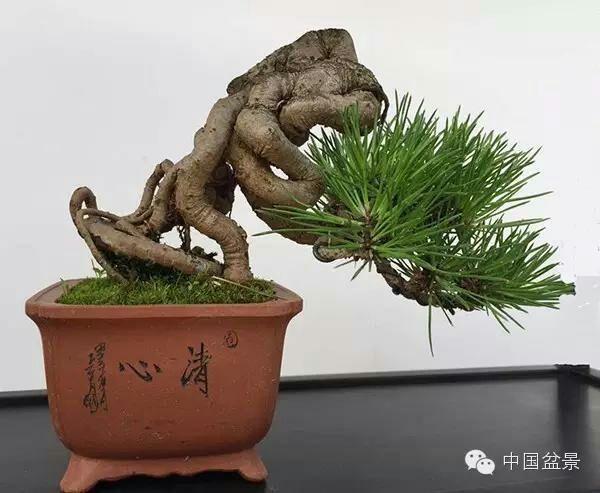 3动漫 为了更准确地帮助你