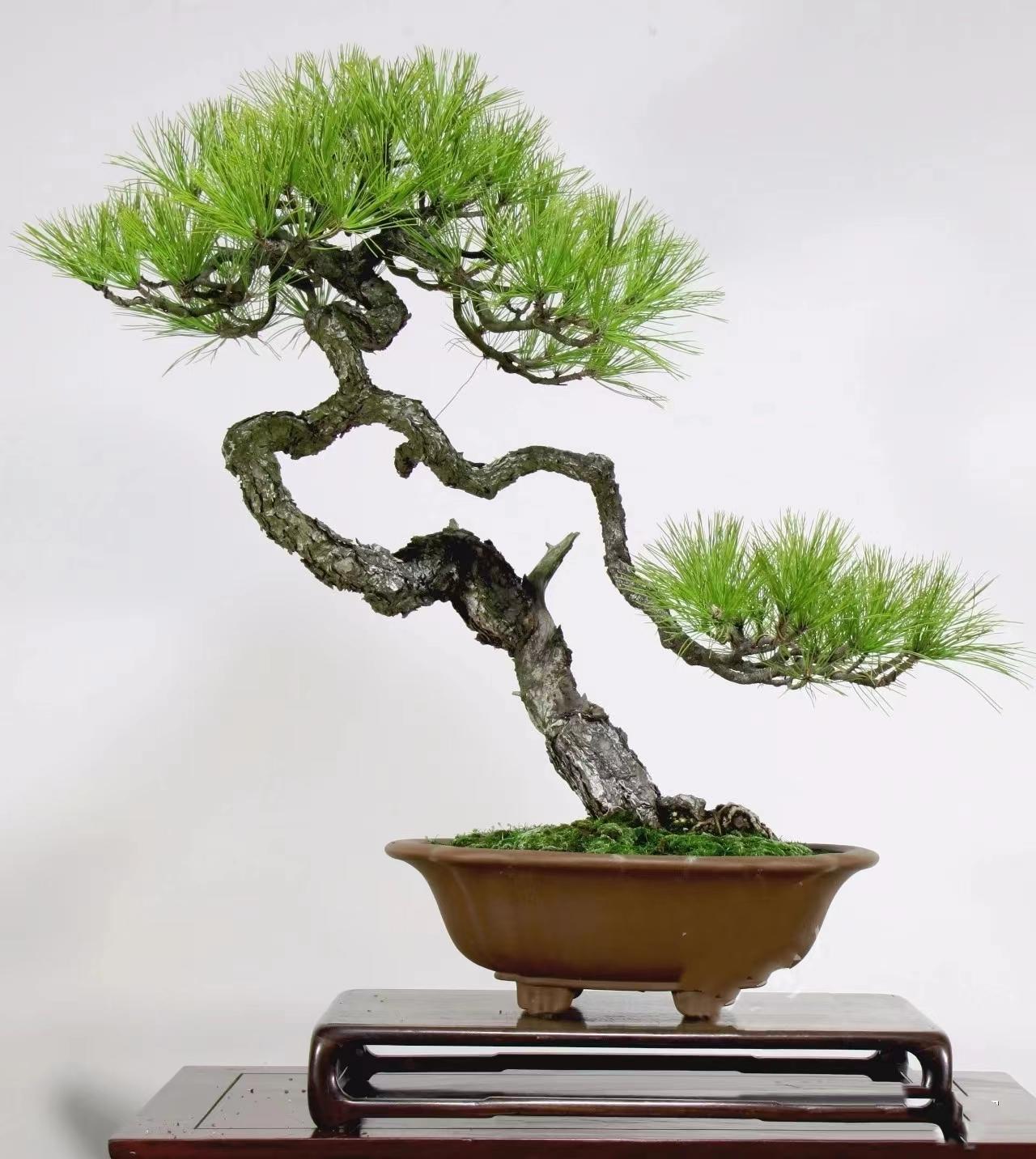 足酷刑 我非常乐意为你提供帮助