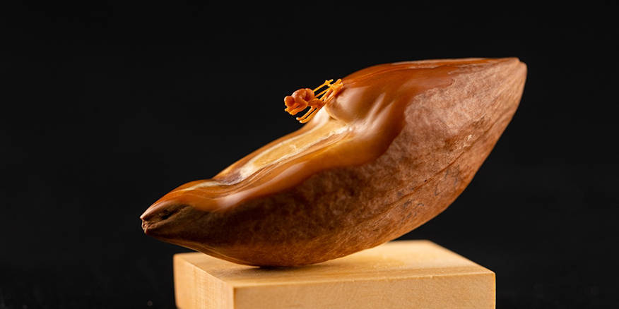 m男同 男同如果你有其他问题