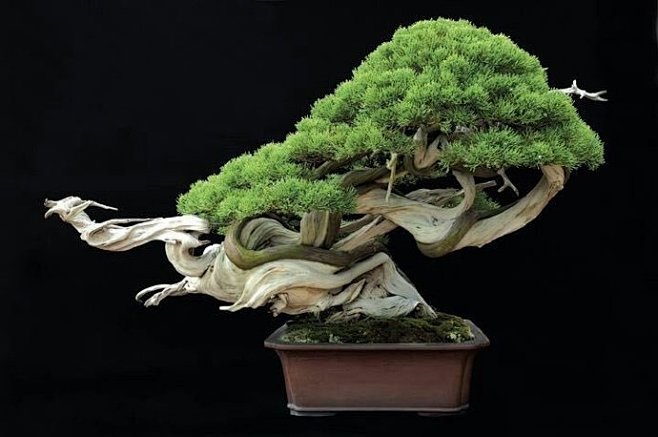 kan.quest火影同人动漫