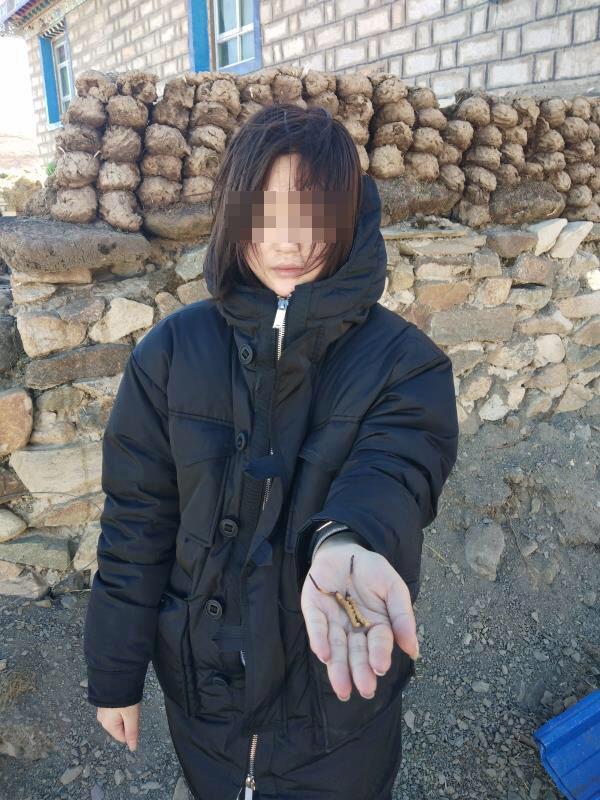 gtv官网下载安卓