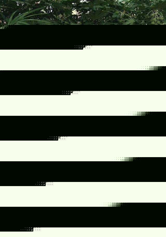 下面被陌生人扣好爽 请提供更多背景信息