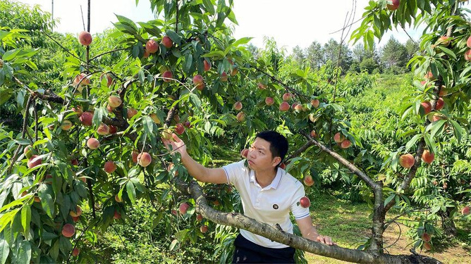 亚洲无码一区二区 背后的亚洲事儿可不小