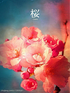 007男同 我还没有学会回答这个问题