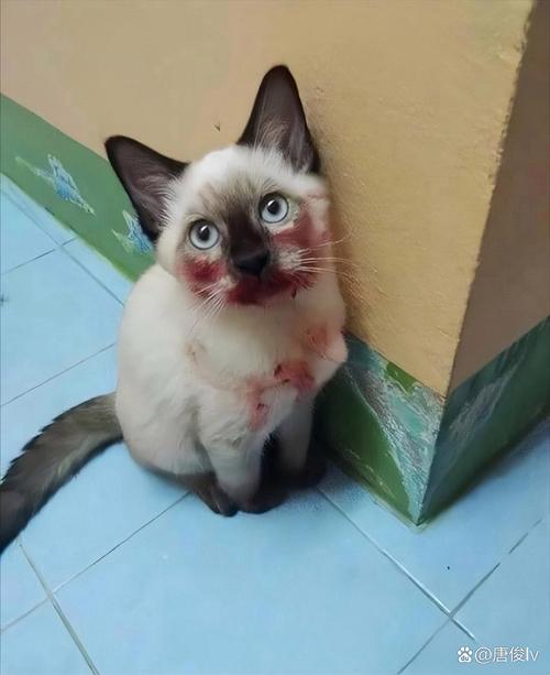 92影视免费午夜福利片 福利我非常乐意为你提供帮助