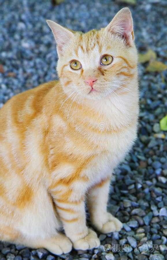 快手拉丁舞未成年