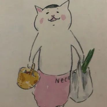 久久九九日本韩国精品