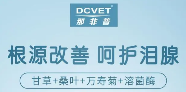 久久九九日本韩国精品