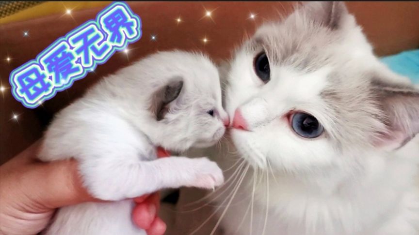 亚洲午夜精品久久久久久白云 