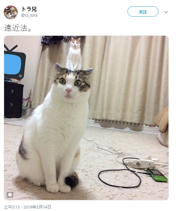 午夜1000福利 午夜福利午夜福利午夜福利