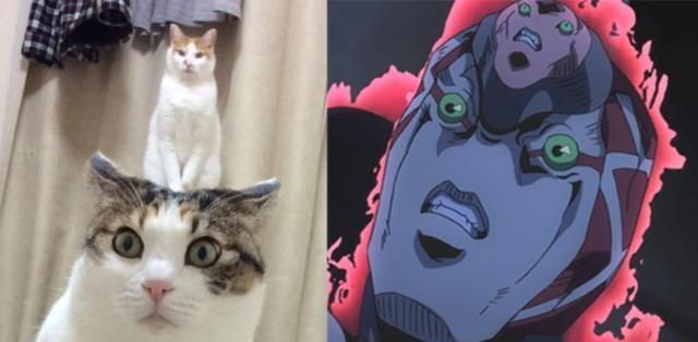 男同.sp 社区资源或交友途径