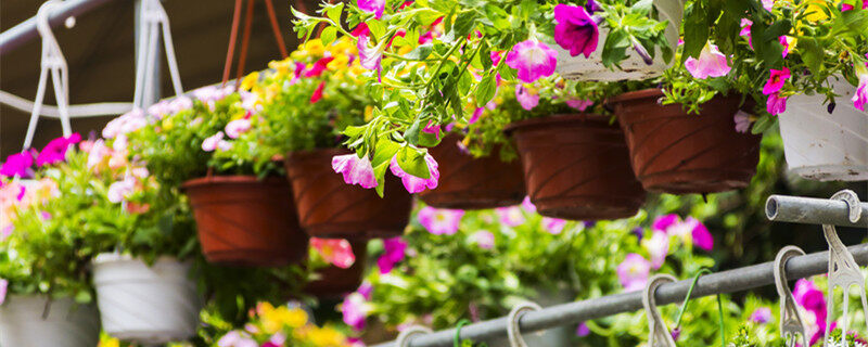 婷婷亚洲AV色香蕉蜜桃 婷婷桃拥抱变化中的亚洲世界