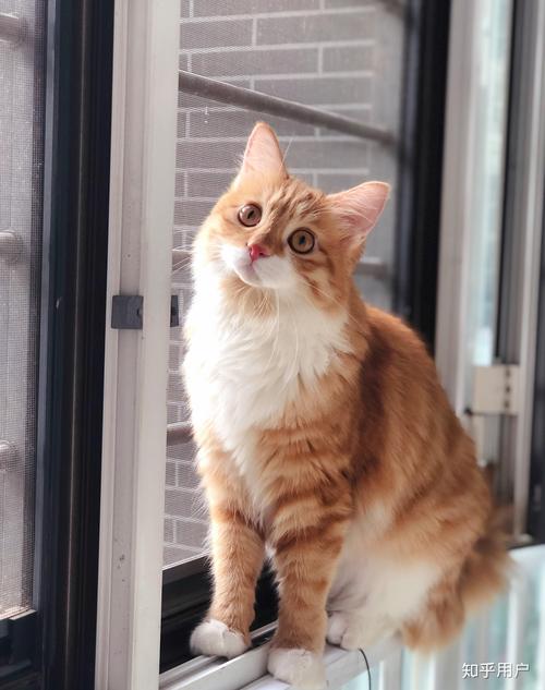 天天摸天天碰这里有精品