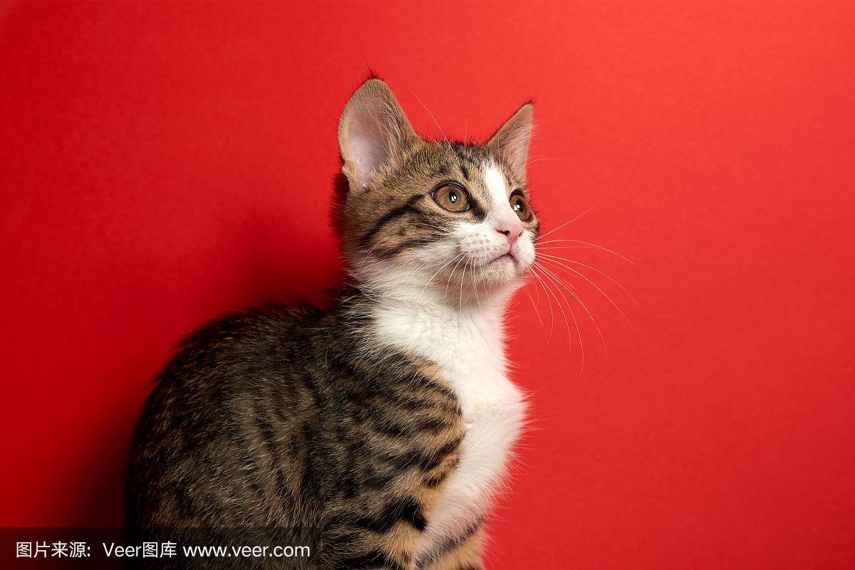 床上技巧 每个人的床上技巧喜好都不同