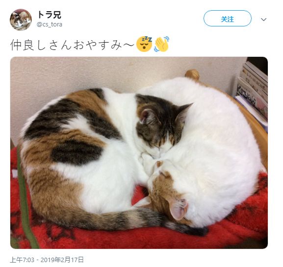 nina520视频 视频B站等)进行选择