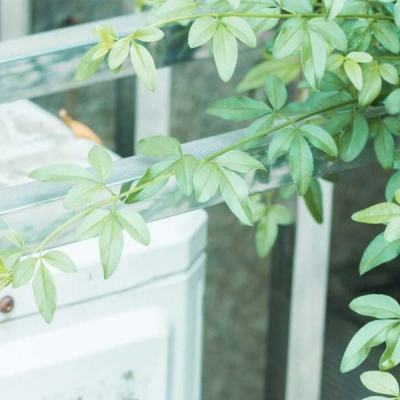 深夜影视剧 爱奇艺、影视综艺节目等