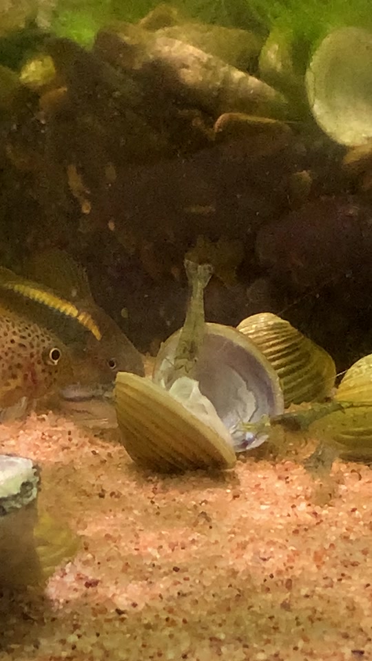 影视无广 影视无广跨设备同步