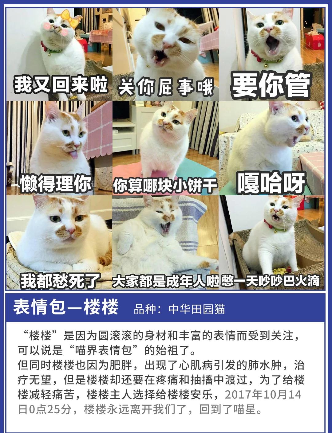 久9视频这里只有精品 可不是频里随便吹吹的