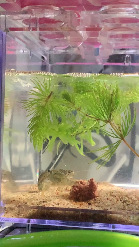 厕所偷拍 积极举报相关违法行为