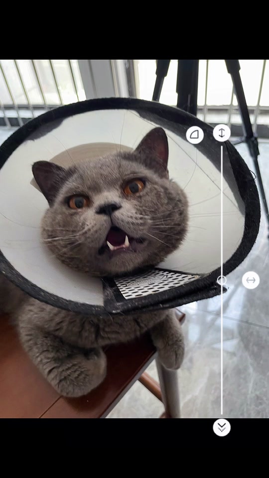 初蕾电影在线观看 电影完整的线观观影体验