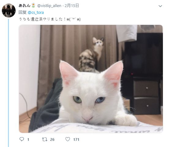 国产欧美在线手机观看