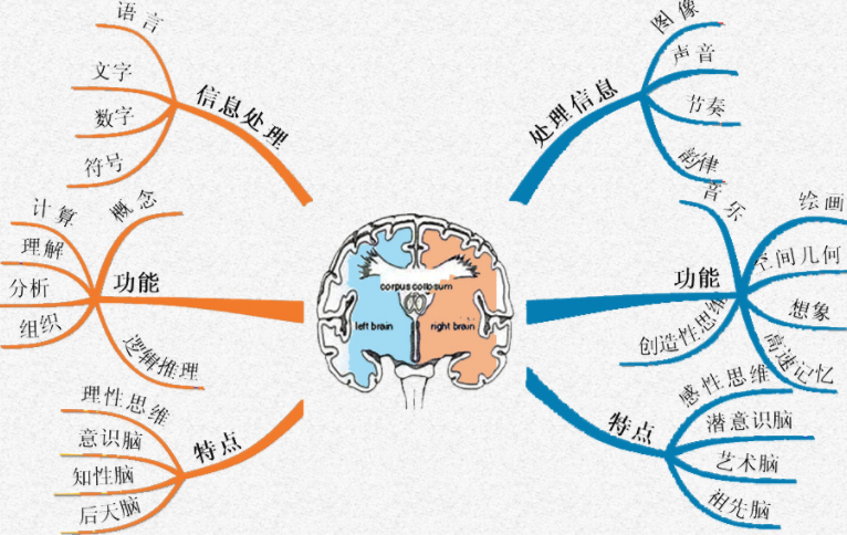 城崎麻理子 鼓励他们用艺术表达自我