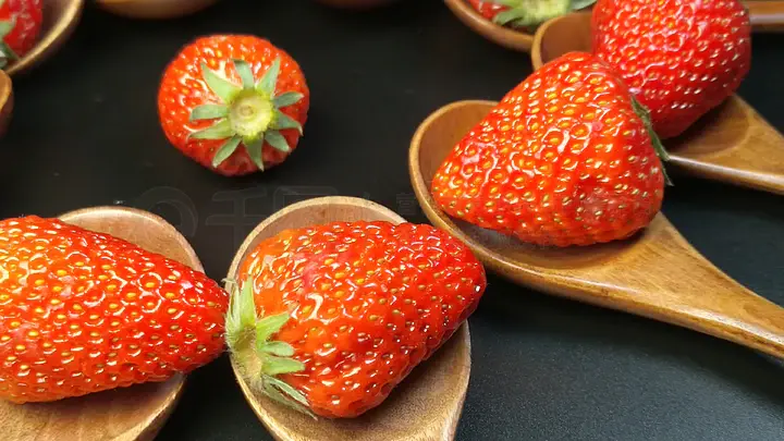 qiyue 寸止20期 安全且符合伦理的止期信息