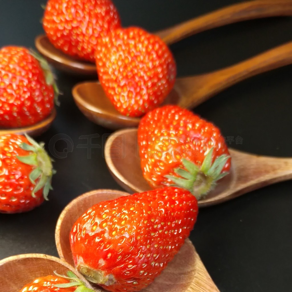 天堂岛www天堂资源在线 都能流畅播放或阅读