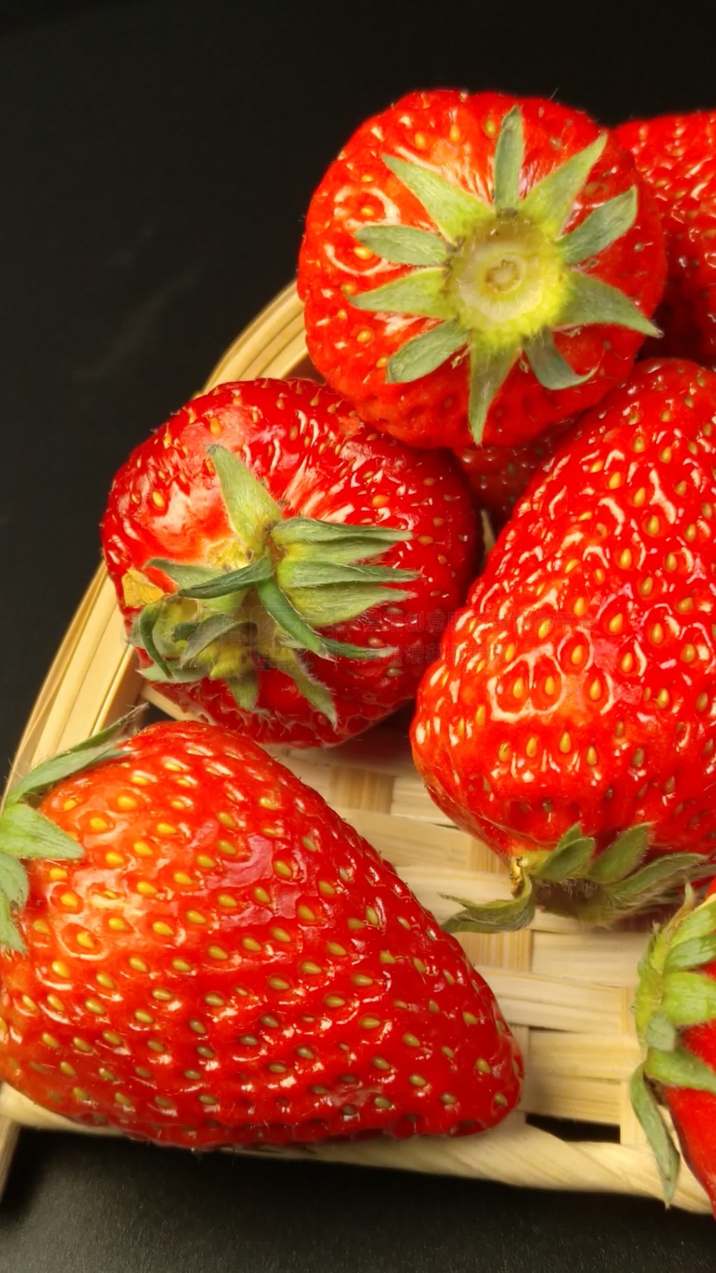 里番珍惜这份爱