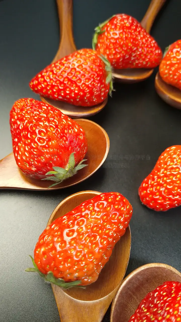 久久精品中文字幕无码绿巨人