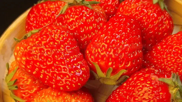 黑料万里长征不打烊