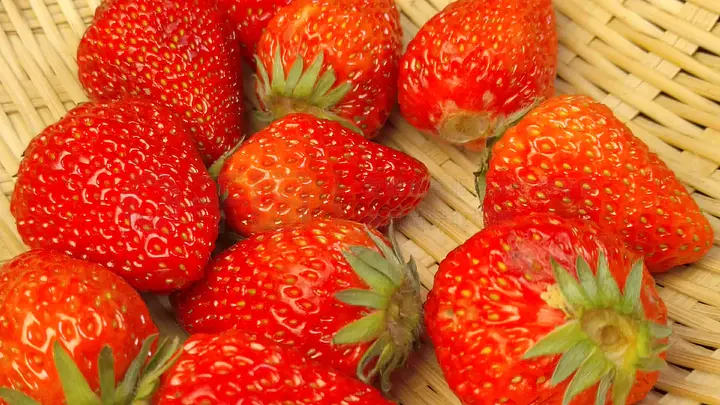 yp522.cn 或者认为这个域名本应有效