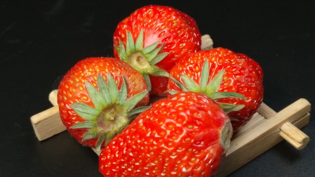 黑神话麻豆 黑神话麻法术连携和变身机制