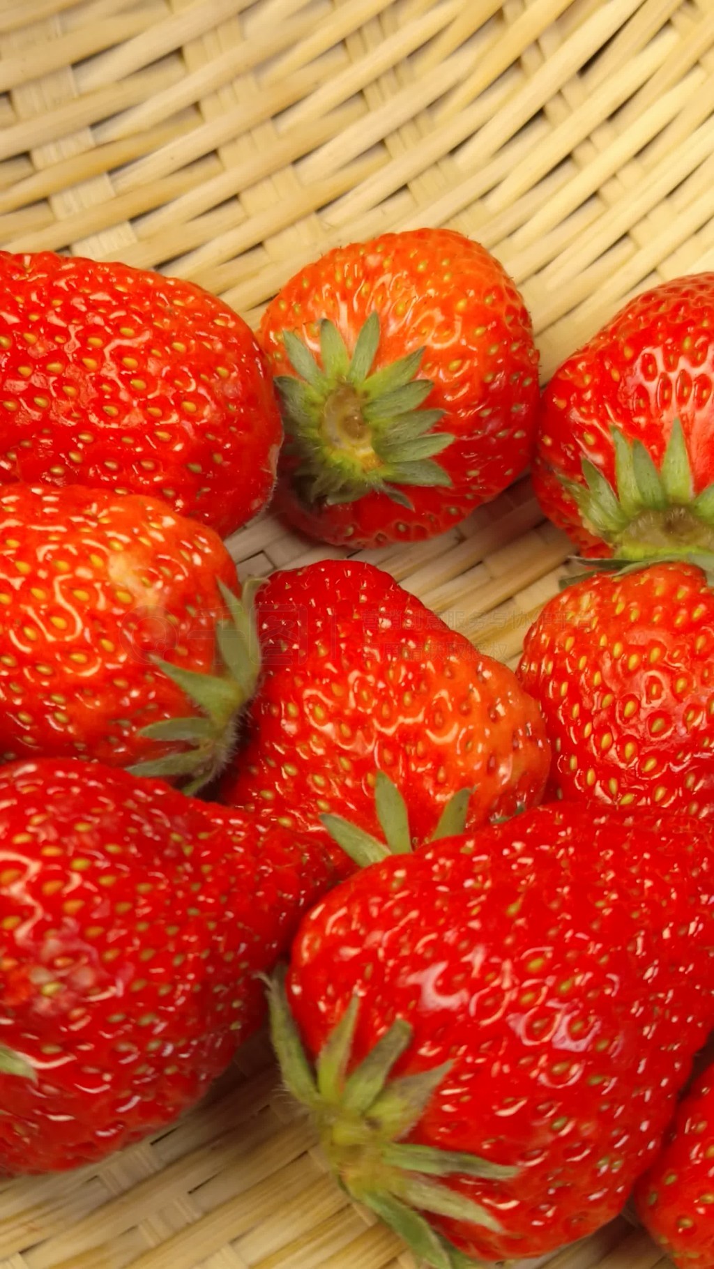 火龙果羊 普通污渍用湿布即可清洁