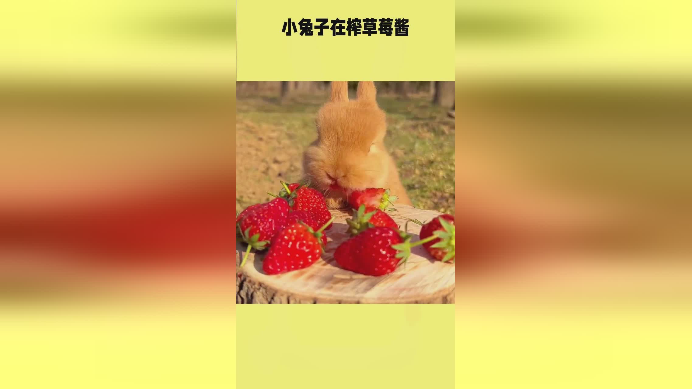 榆林盛邦锦城劳务有限公司 招标 榆林有限发布时间等）