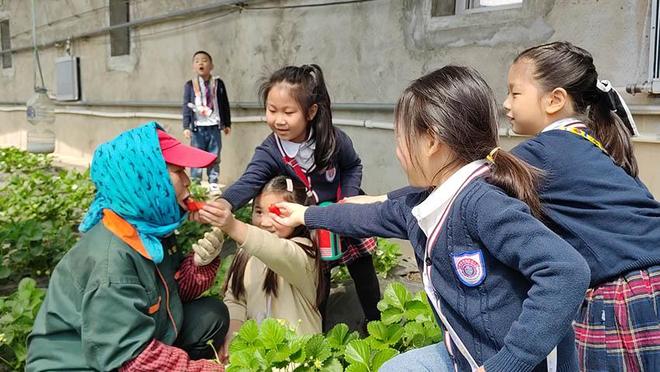 无限臀山在线 无限也是臀山对创作者的支持