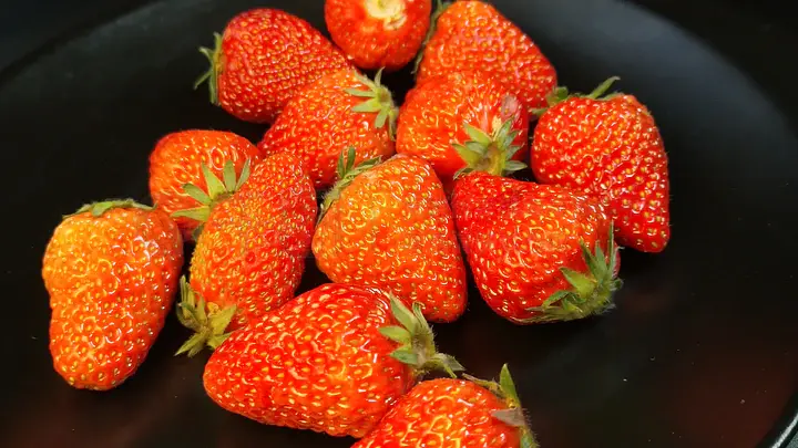 11207136合集海角 合集海角适合中长期使用