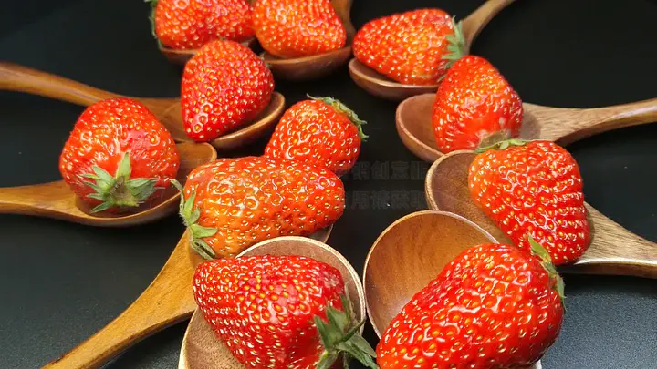 无人区在线中文字幕,中文天堂最新版www官网下载