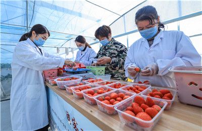 热RE99久久精品国99热 为中国市场注入更多活力